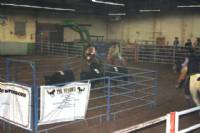 Jake Daniels, riding Shesa Frosty Nic, Kim Lais, and Kim Daniels, riding Keotas Fast Cash, putting 3 in the pen.